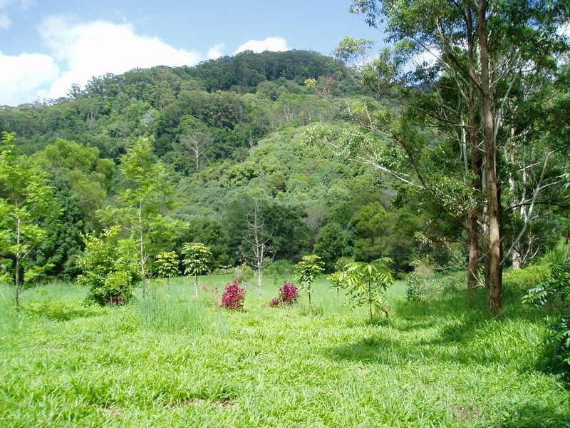 194 Blindmouth Road, Mullumbimby NSW 2482