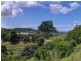 Lot 3  Walkers Lane, Billinudgel NSW 2483