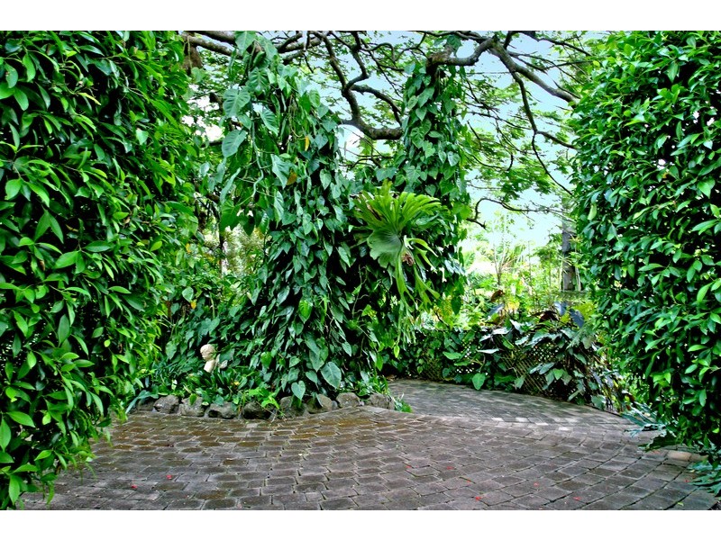 15 Middle Pocket Road, Billinudgel NSW 2483