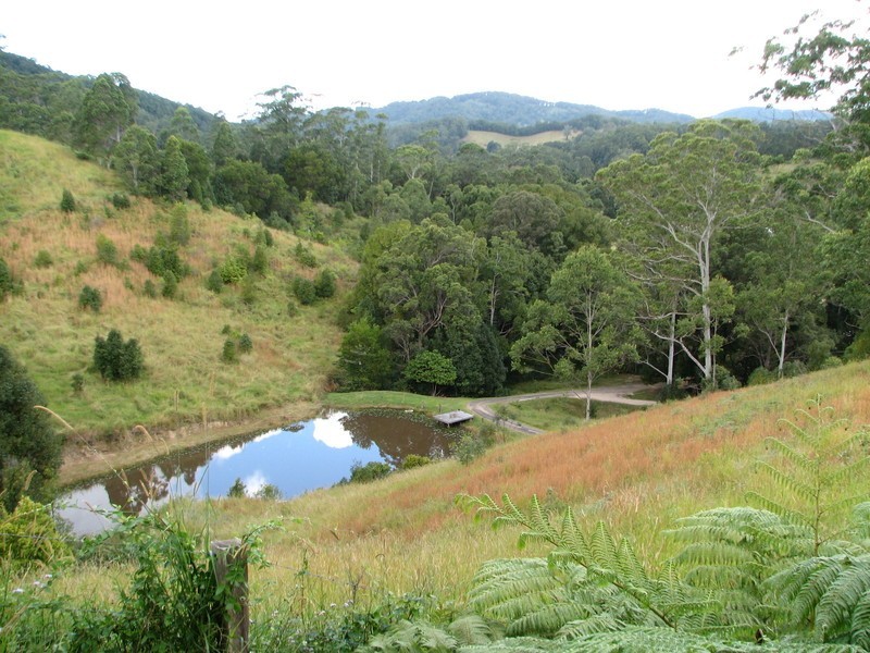 34 Wallaroo Drive, Burringbar NSW 2483