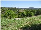 16 Hinchinbrook Road, Burringbar NSW 2483