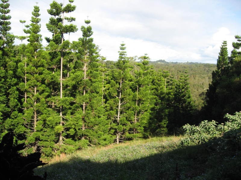 Ocean Shores NSW 2483