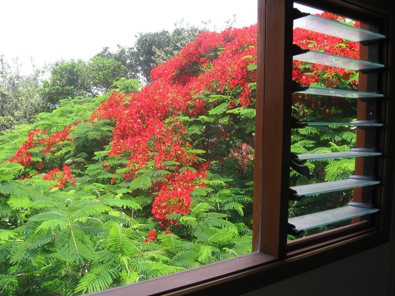 8 River Street, New Brighton NSW 2483