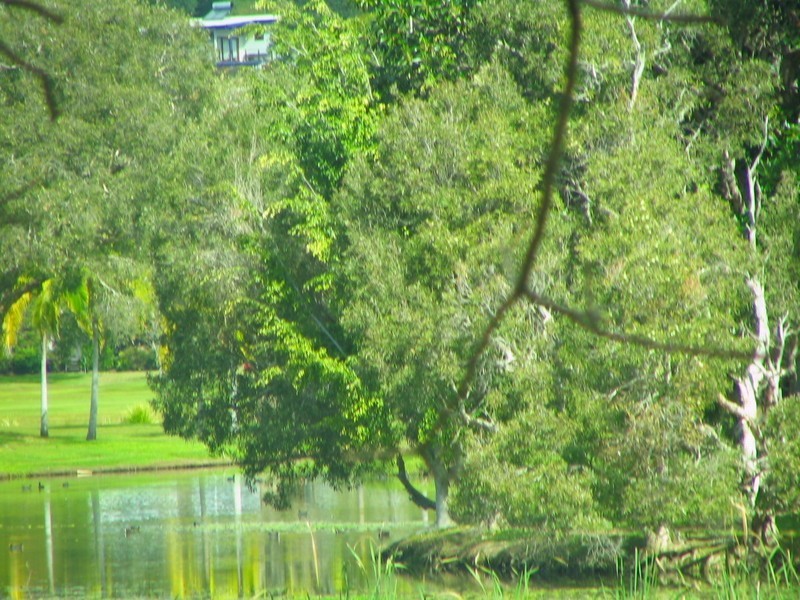 12 Terrara Court, Ocean Shores NSW 2483