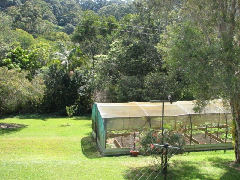 2431 Coolamon Scenic Drive, Mullumbimby NSW 2482