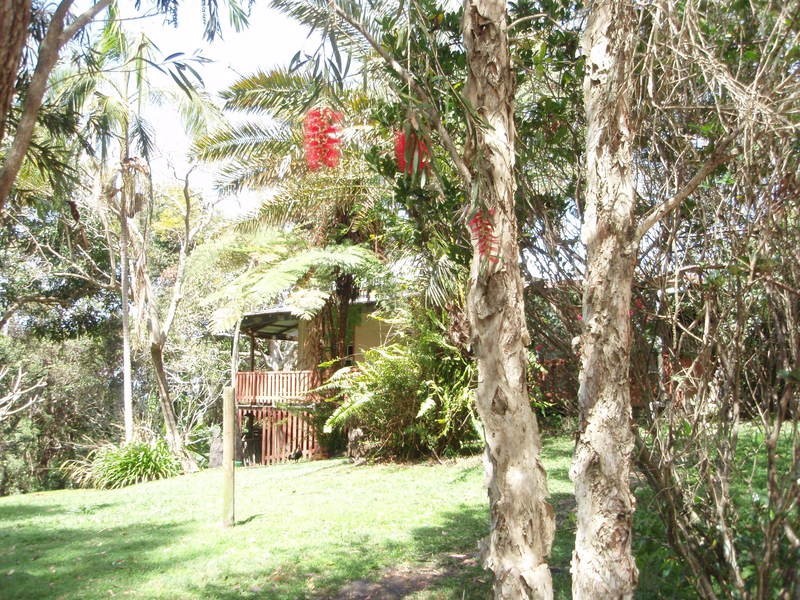 174 Billinudgel Road, Billinudgel NSW 2483