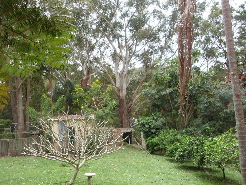 174 Billinudgel Road, Billinudgel NSW 2483