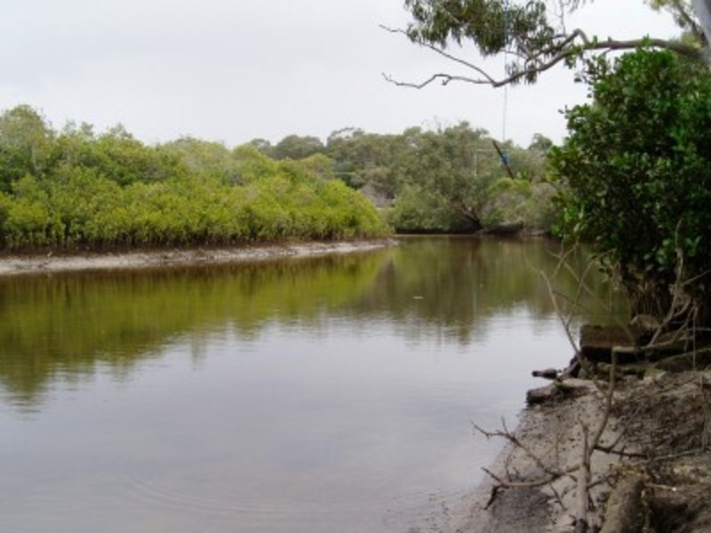 19/36 Langi Place, Ocean Shores NSW 2483