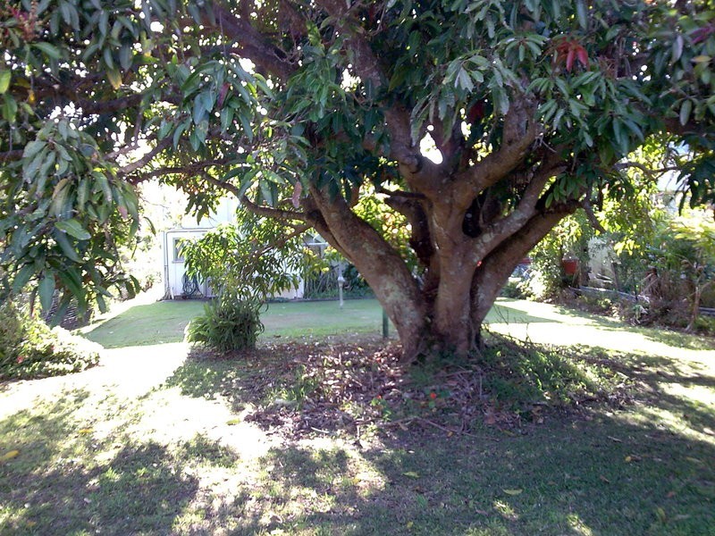 21 Tweed Street, Brunswick Heads NSW 2483