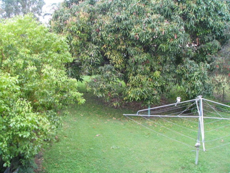 21 Tweed Street, Brunswick Heads NSW 2483