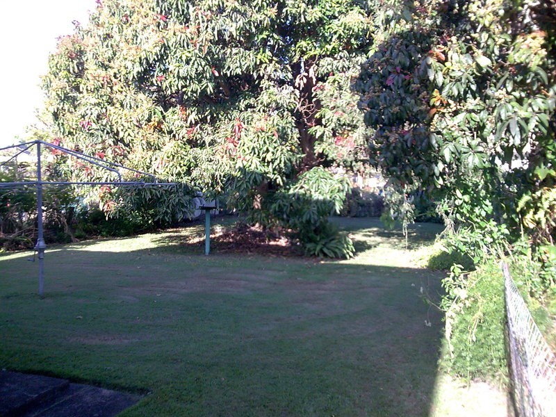 21 Tweed Street, Brunswick Heads NSW 2483