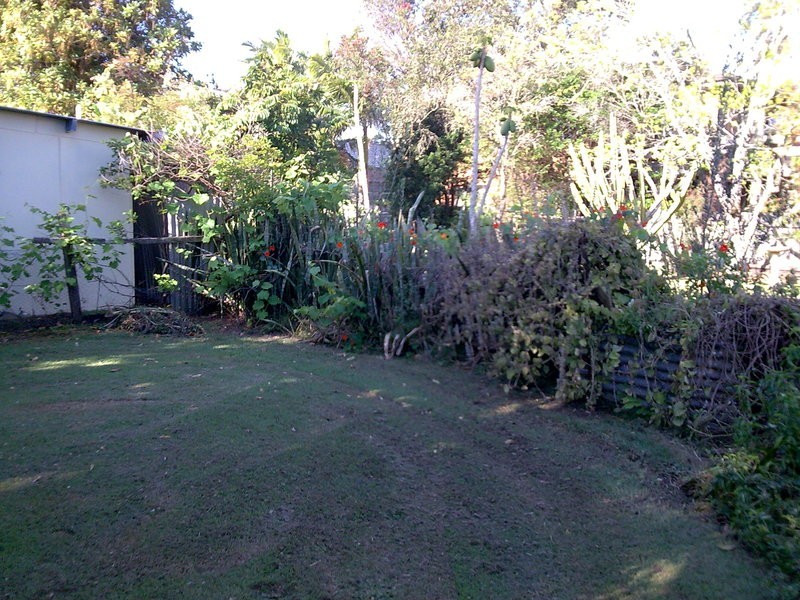 21 Tweed Street, Brunswick Heads NSW 2483