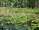 99 Middle Pocket Road, Billinudgel NSW 2483