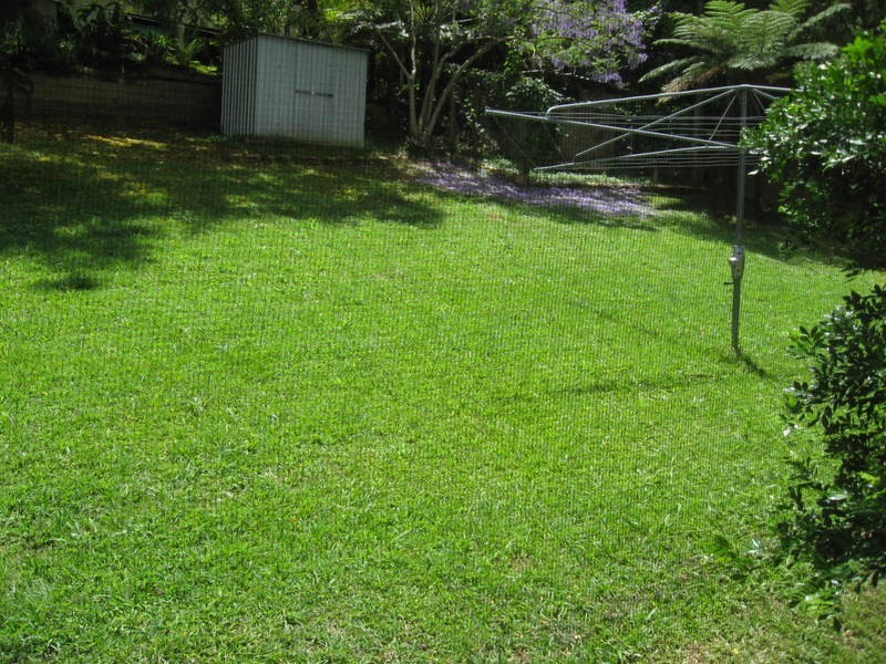 Ocean Shores NSW 2483