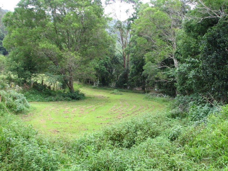 550 Middle Pocket Road, Billinudgel NSW 2483