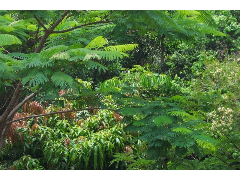 10 Rajah Road, Ocean Shores NSW 2483