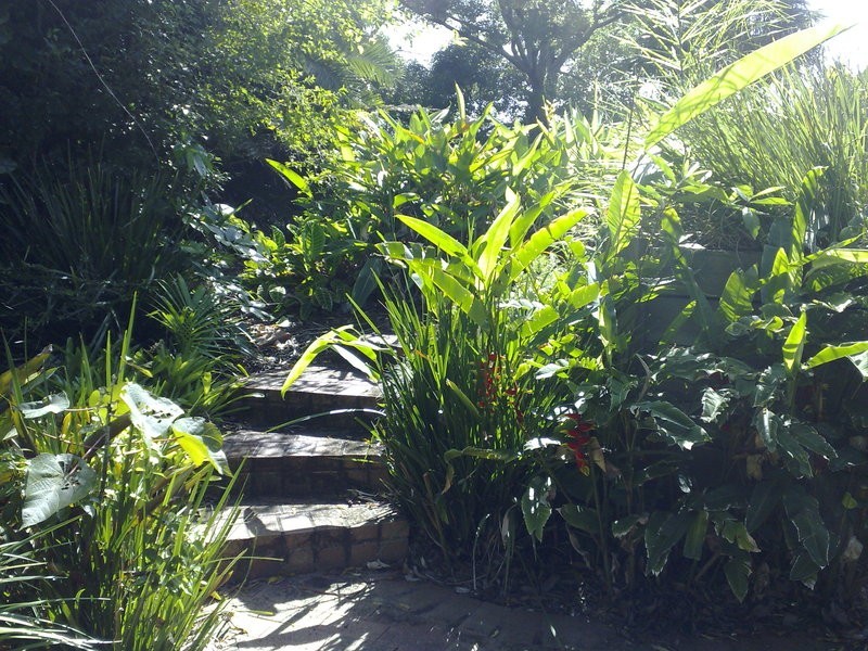 12 Murumba Close, Ocean Shores NSW 2483