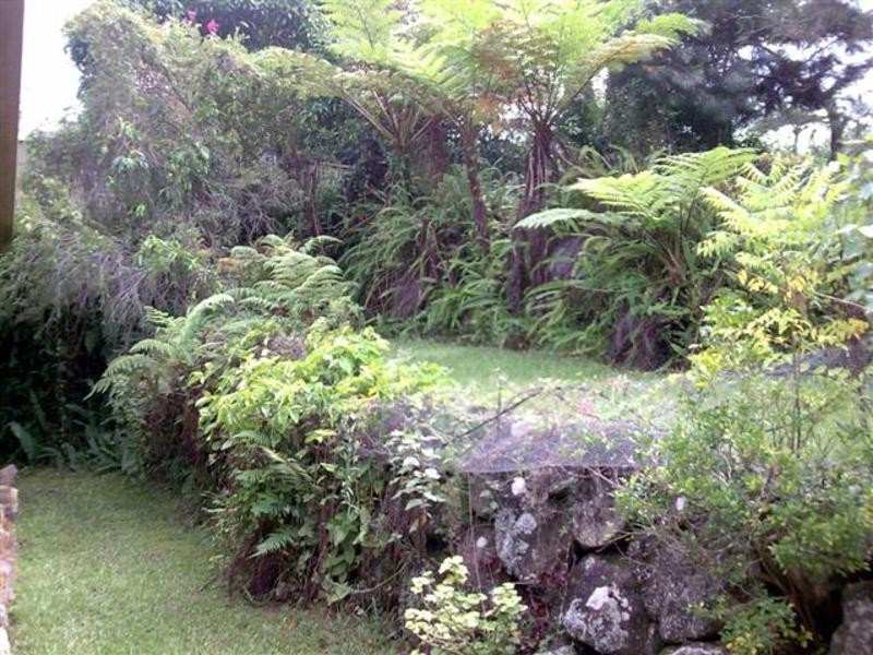 20 Bulgoon Crescent, Ocean Shores NSW 2483