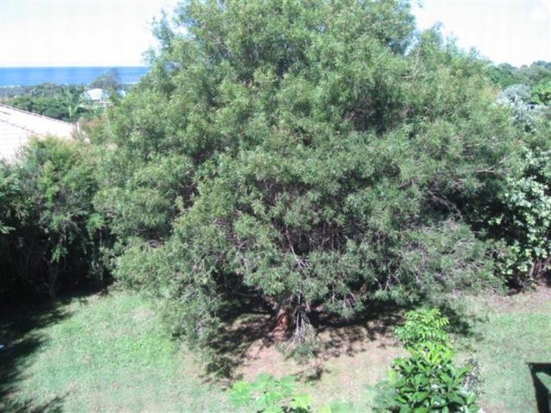 26 Warrambool Road, Ocean Shores NSW 2483