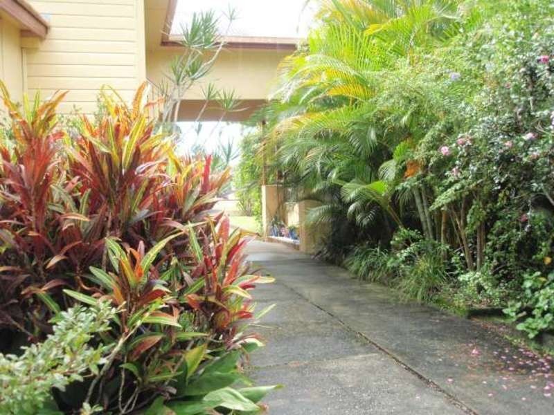 3 Fern Street, Mullumbimby NSW 2482