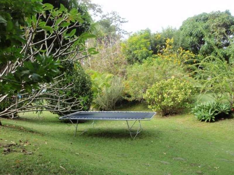 3 Fern Street, Mullumbimby NSW 2482