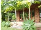 4 Billinudgel Road, Billinudgel NSW 2483