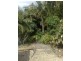 17 Goondooloo Drive, Ocean Shores NSW 2483
