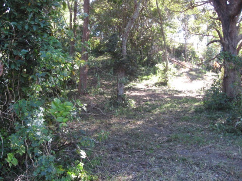 47 Rajah Road, Ocean Shores NSW 2483