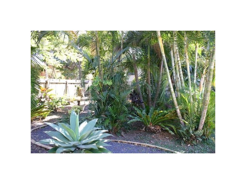 55 Balemo Drive, Ocean Shores NSW 2483