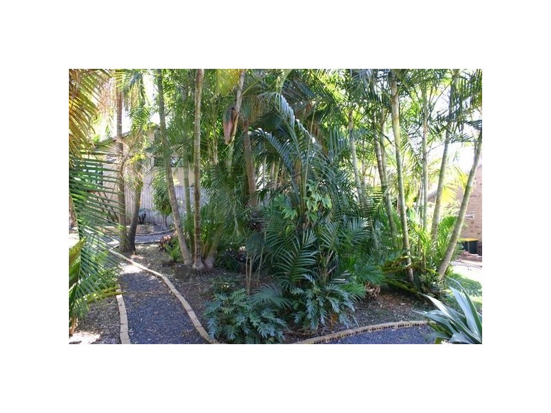 55 Balemo Drive, Ocean Shores NSW 2483