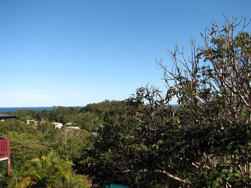 3 Putta Place, Ocean Shores NSW 2483