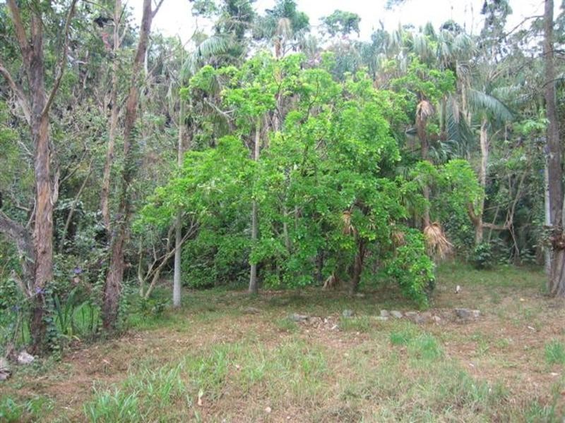 20a Rajah Road, Ocean Shores NSW 2483