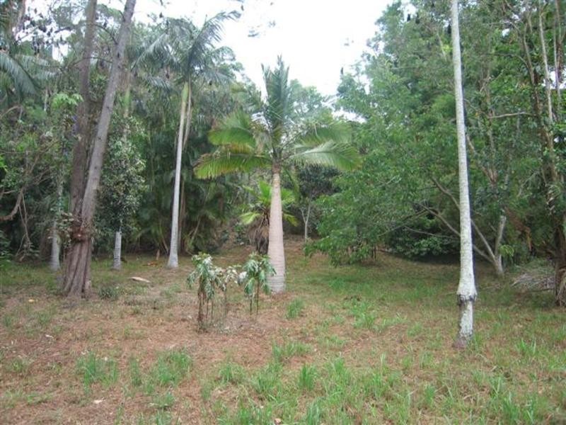 20a Rajah Road, Ocean Shores NSW 2483