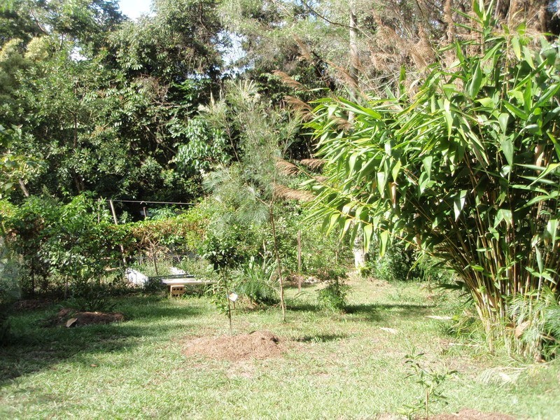17 Mudges Road, Ocean Shores NSW 2483