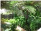8 Pacific Esplanade, South Golden Beach NSW 2483
