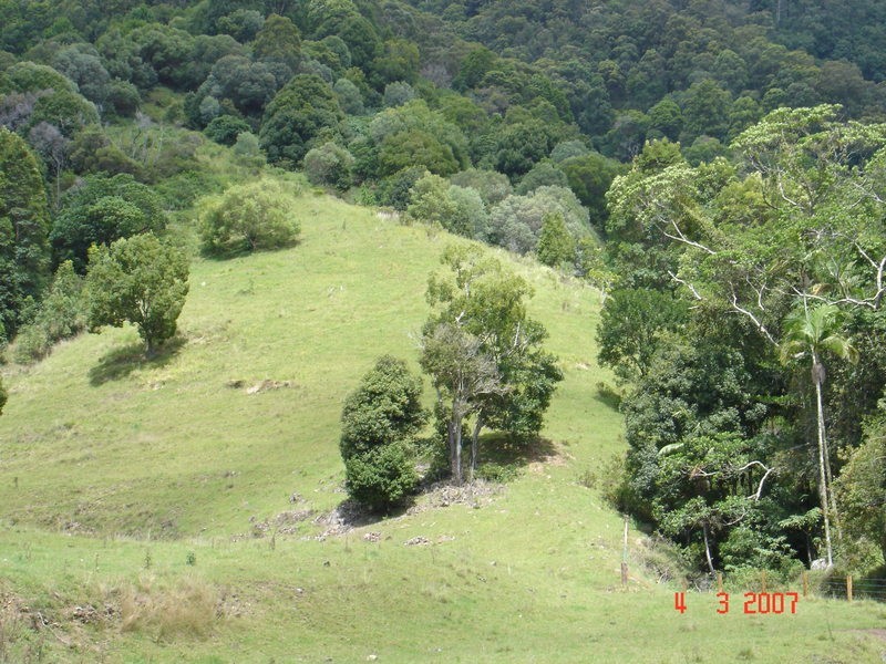 226 Crabbes Creek Road, Crabbes Creek NSW 2483