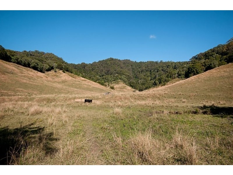 226 Crabbes Creek Road, Crabbes Creek NSW 2483