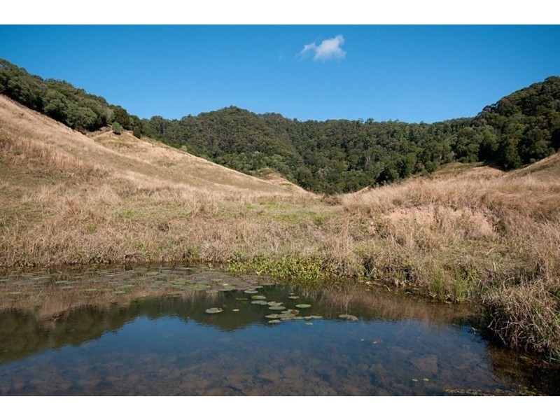 226 Crabbes Creek Road, Crabbes Creek NSW 2483