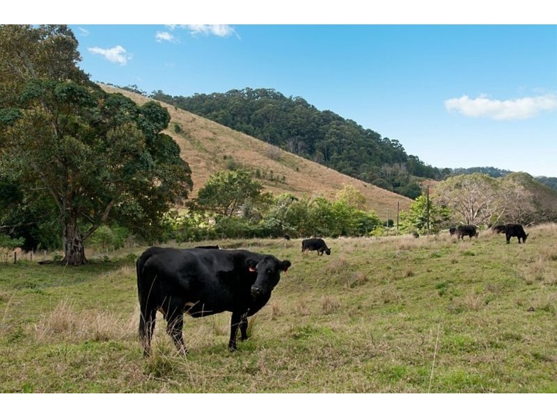 226 Crabbes Creek Road, Crabbes Creek NSW 2483