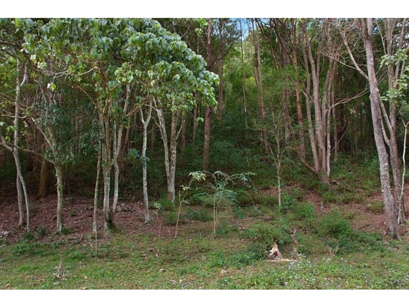 226 Crabbes Creek Road, Crabbes Creek NSW 2483