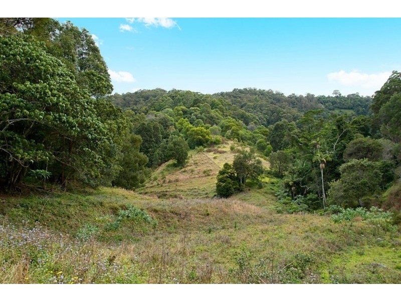 226 Crabbes Creek Road, Crabbes Creek NSW 2483