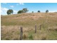226 Crabbes Creek Road, Crabbes Creek NSW 2483