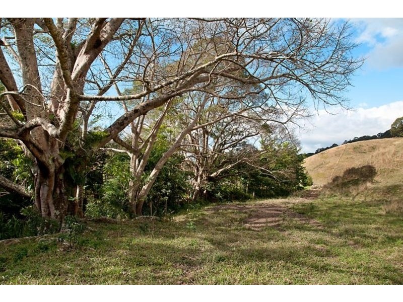 226 Crabbes Creek Road, Crabbes Creek NSW 2483