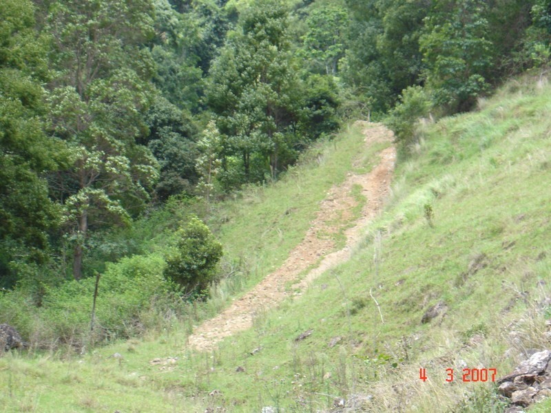 226 Crabbes Creek Road, Crabbes Creek NSW 2483