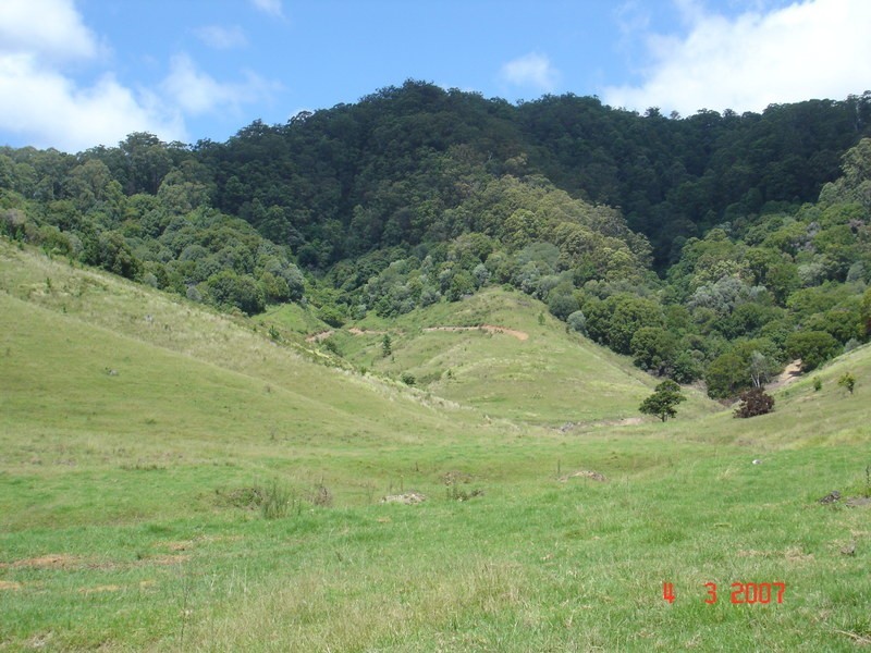 226 Crabbes Creek Road, Crabbes Creek NSW 2483