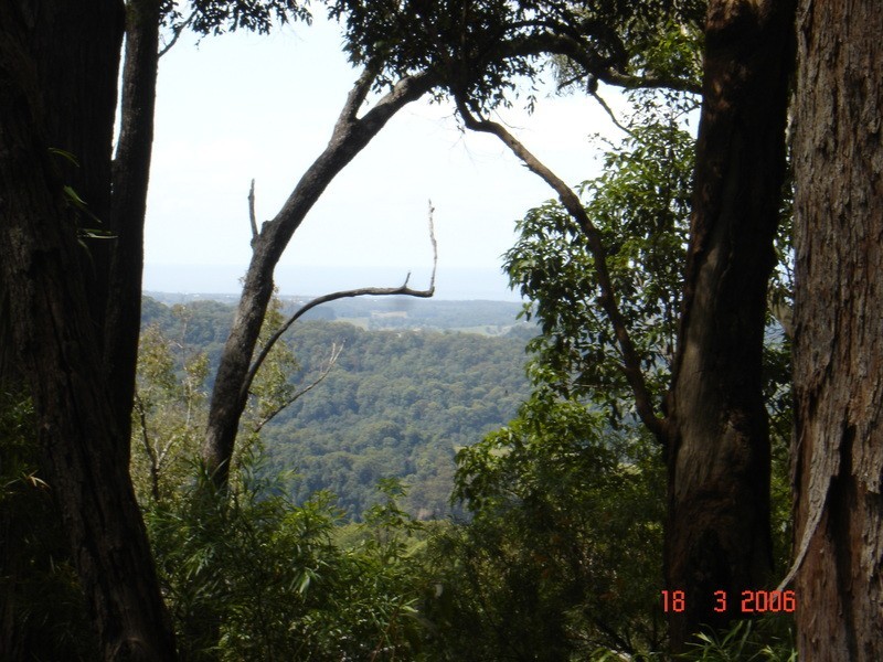 226 Crabbes Creek Road, Crabbes Creek NSW 2483