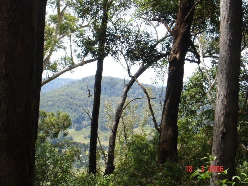 226 Crabbes Creek Road, Crabbes Creek NSW 2483