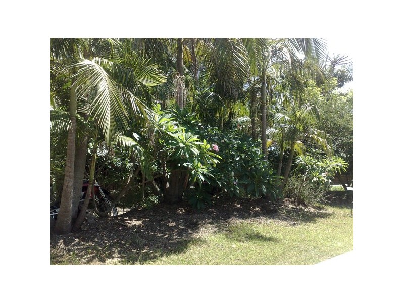 16 Nandroya Avenue, Ocean Shores NSW 2483