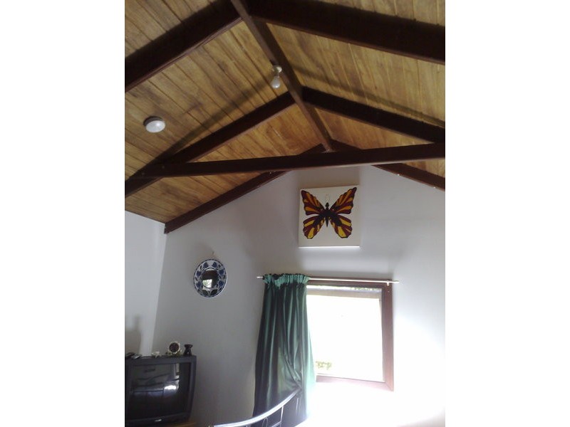 16 Nandroya Avenue, Ocean Shores NSW 2483