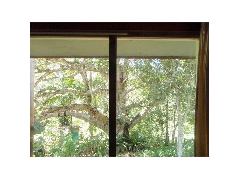 879 The Pocket Road, Billinudgel NSW 2483